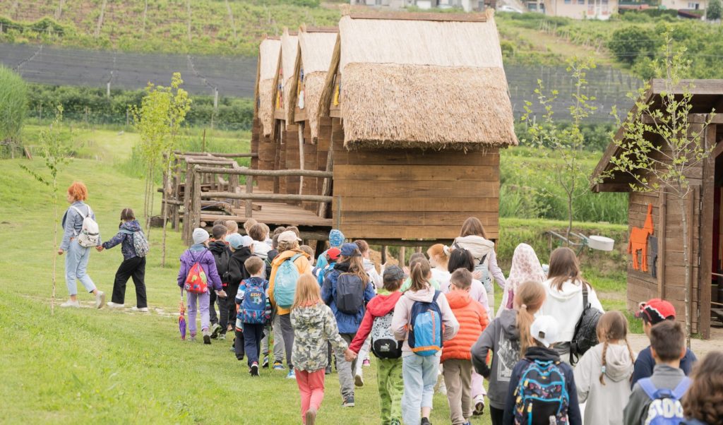 Private school activities in Novi Sad