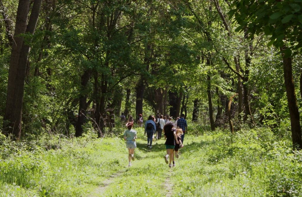 Private school activities in Novi Sad